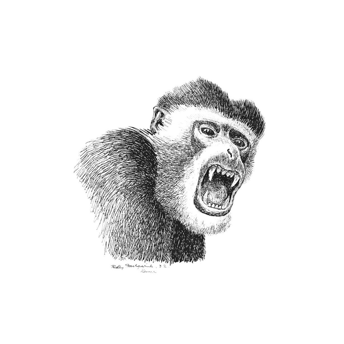 Björn Åkerblom <br>Monkey Business <br>Lathe Cut LP + 7-inch